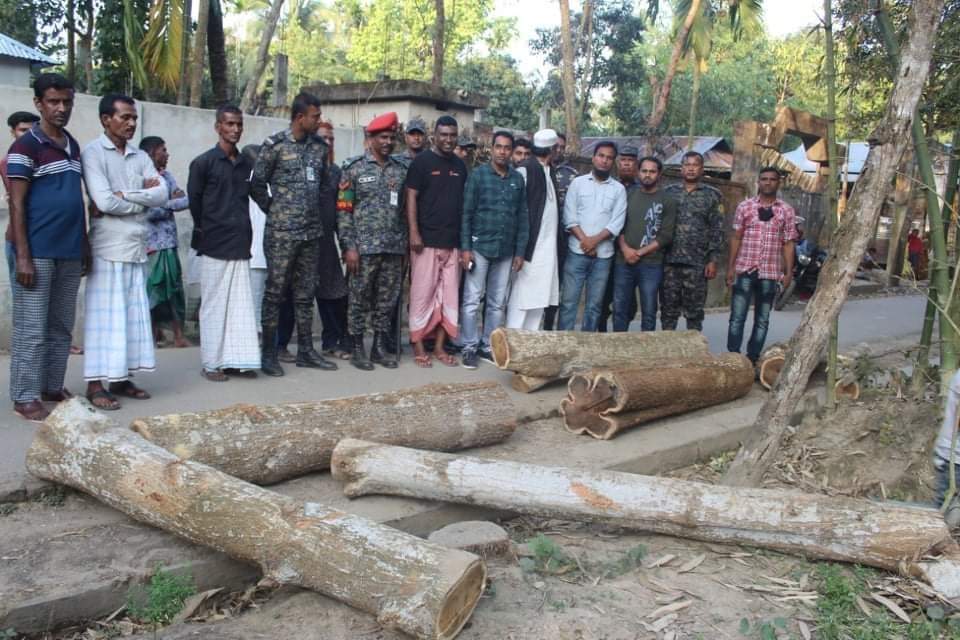 শ্রীমঙ্গল আনসার ব্যাটালিয়নের চুরি যাওয়া আকাশমনি ও বেলজিয়াম প্রজাতির গাছ উদ্ধার।